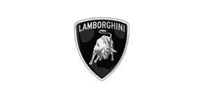 Lamborghini - Volant custom Apex Studio